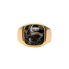 IX Studios Turtle Agate Signet Ring 22 kt. Forgyldt DMN0282GDTA-50 (ring) Unisex