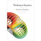 Donella H Meadows: Thinking in Systems