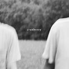 Hovvdy Cranberry LP