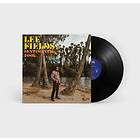 Fields Sentimental Fool LP