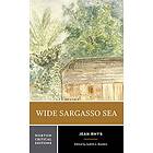 Wide Sargasso Sea: Backgrounds, Criticism
