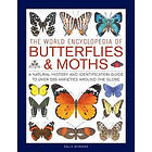 Sally Morgan: Butterflies &; Moths, The World Encyclopedia of