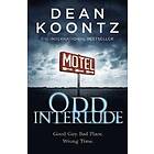 Dean Koontz: Odd Interlude