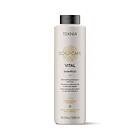 Lakmé Teknia Scalp Care Vital Shampoo 1000ml