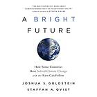 Joshua S Goldstein: A Bright Future