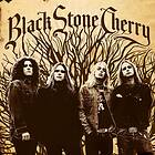 Black Stone Cherry - LP