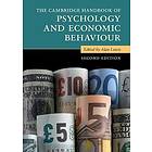 Alan Lewis: The Cambridge Handbook of Psychology and Economic Behaviour