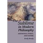 Emily Brady: The Sublime in Modern Philosophy