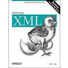 Erik T Ray: Learning XML 2nd Edition