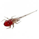 13 Fishing B.A.M.F Panfish Plastics 6-pack
