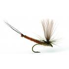 Umpqua flugor Vulgata Dun 10