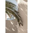 Venture Home Palmleaf Poster Beige 30x40