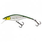Westin Fishing P10DR Crankbait 10cm 16g Floating Fire Craw
