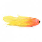 Vision Pike Parrot