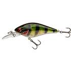 Daiwa Prorex Toddler Crank LPR