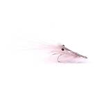 Umpqua flugor Pattegrisen Grey #6