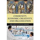 Ash Amin: Community, Economic Creativity, and Organization