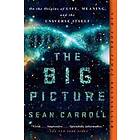 Sean Carroll: Big Picture