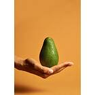 Venture Home Posters Avocado Orange/grön 50x70