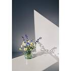 Venture Home Posters Flowers Vit White 50x70