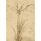 Venture Home Plant art Beige Poster
