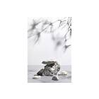 Venture Home Posters Sandstones Vit White 70x100