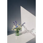 Venture Home Posters Flowers Vit White 70x100