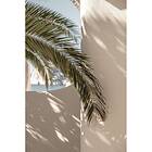 Venture Home Palmleaf Poster Beige 70x100