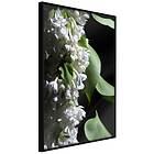 Artgeist Poster Affisch Lilacs Detail [Poster] 20x30 A3-DRBPRP1071s_cr