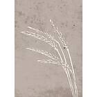 Venture Home Seeds Beige Poster 70x100 100