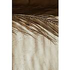 Venture Home Dessert Beige Poster 21x30