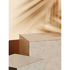 Venture Home Sunflow Beige Poster 70x100