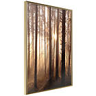 Artgeist Poster Affisch Forest Paths [Poster] 30x45 A3-DRBPRP1423m_zr