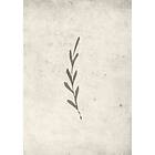 Venture Home Posters Autumn Leaf 70x100 Cm