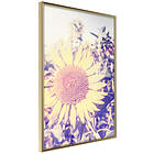 Artgeist Poster Affisch Sunflower [Poster] 30x45 A3-DRBPRP1155m_zr