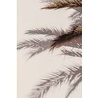 Venture Home Shadow Poster Beige 70x100 100