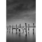 Venture Home Posters Ocean Sort/vit 21x30