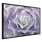 Artgeist Poster Affisch Purple Succulent [Poster] 45x30 A3-DRBPRP0109m_cr