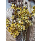 Venture Home Posters Bouquet Grønn/gul 30x40 60068-002