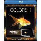 Plasma Art - Goldfish (Blu-ray)