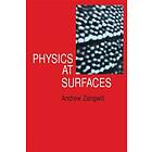 Andrew Zangwill: Physics at Surfaces