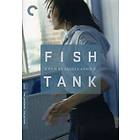 Fish Tank - Criterion Collection (US) (DVD)