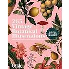 Kale James: Vintage Botanical Illustration
