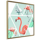 Artgeist Poster Affisch Geometric Flamingos Square [Poster] 50x50 A3-DRBPRP0014x_zr