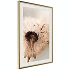 Artgeist Poster Affisch Summer Blast [Poster] 20x30 A3-DRBPRP1416s_zr_pp
