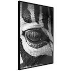 Artgeist Poster Affisch Zebra Eye [Poster] 30x45 A3-DRBPRP0397m_cr