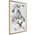 Artgeist Poster Affisch Monochrome Flowers [Poster] 40x60 A3-DRBPRP1442l_zr_pp