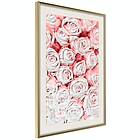 Artgeist Poster Affisch White Roses [Poster] 20x30 A3-DRBPRP0885s_zr_pp