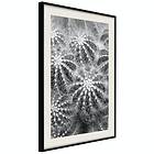 Artgeist Poster Affisch Risky Adventure [Poster] 40x60 A3-DRBPRP0797l_cr_pp