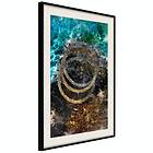 Artgeist Poster Affisch Cassiopeia [Poster] 30x45 A3-DRBPRP0735m_cr_pp